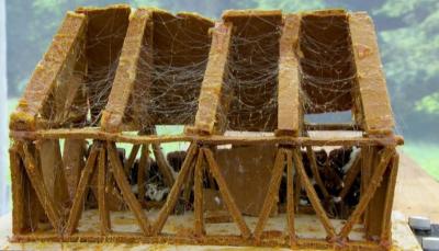 James' gingerbread barn showstopper    (Photo Credit: Courtesy of © Love Productions, worldwide, all media in perpetuity)    
